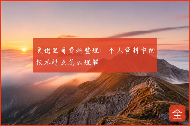 莫德里奇资料整理:个人资料中的技术特点怎么理解